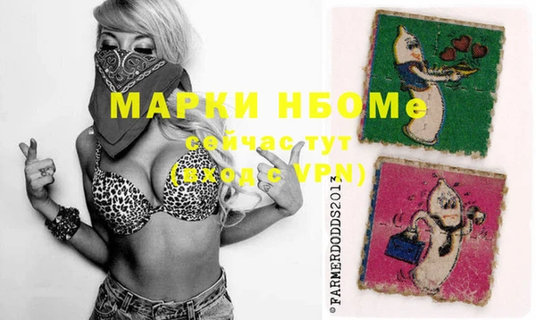 гидра Кулебаки