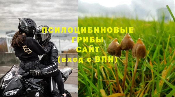 гидра Кулебаки