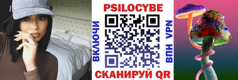 Псилоцибиновые грибы Psilocybe  Купить  Аркадак 